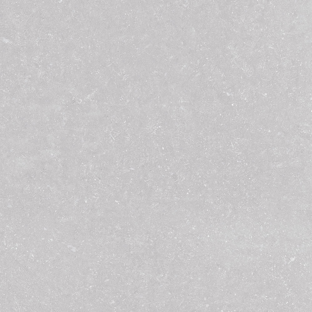 Porcelanato Fossili Argenta Polido Retificado 120x120cm Caixa com 2,88m² / 2 Peças - 2827-A - DELTA NOVA - Imagem 6